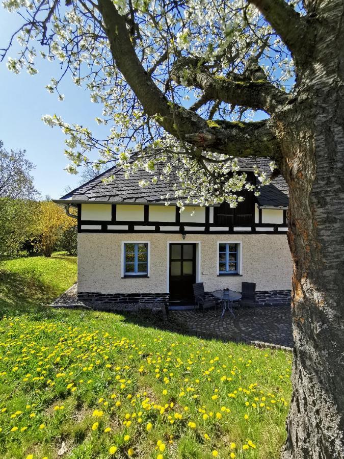 Ferienwohnung "Am Saalehaken" Gossitz Zewnętrze zdjęcie